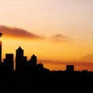 A Foggy Morning In The Pacific Northwest.